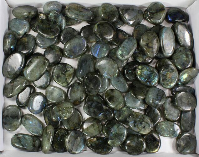 Lot: Polished Labradorite Pebbles - kg ( lbs) #77720